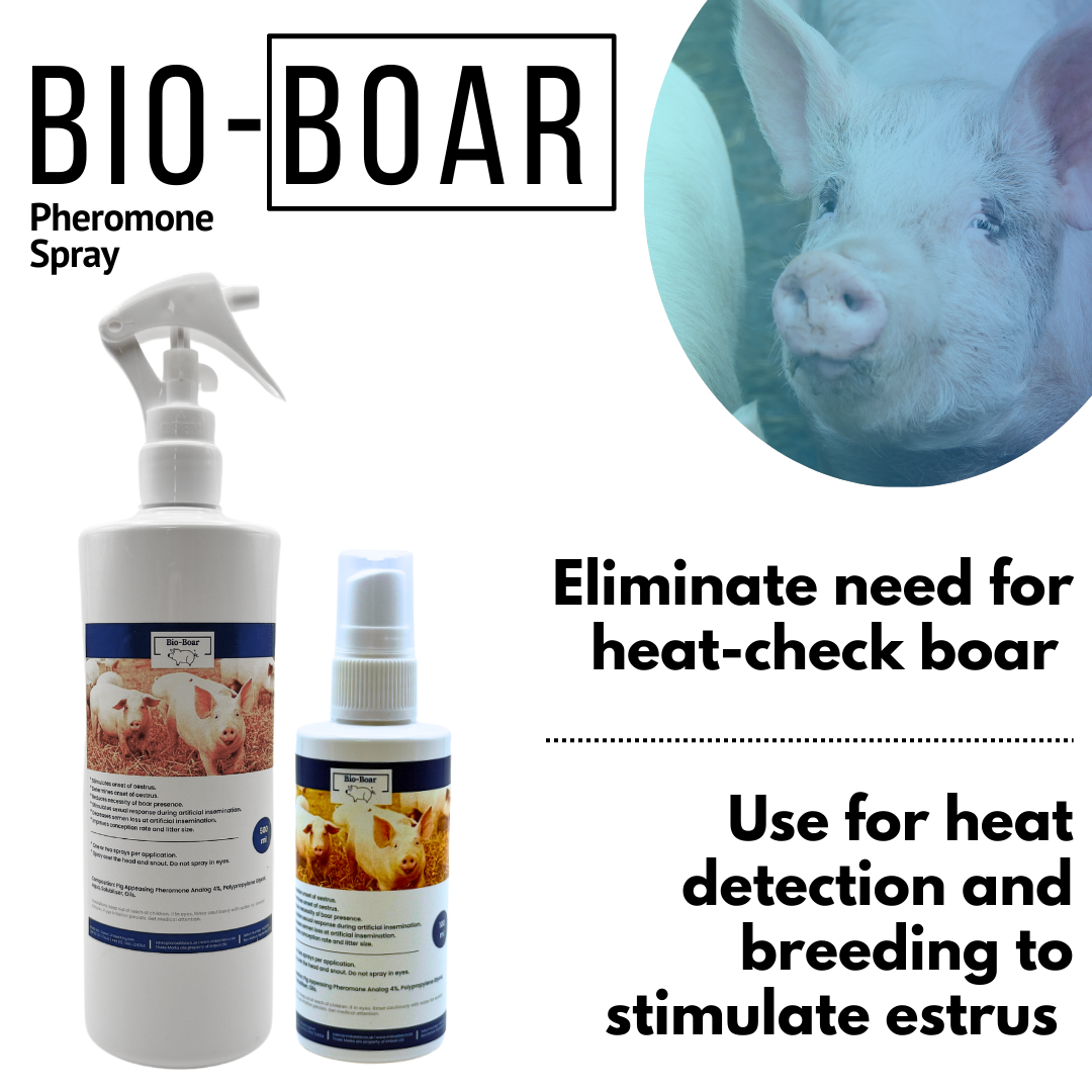 BIO-BOAR™ Pheromone Spray