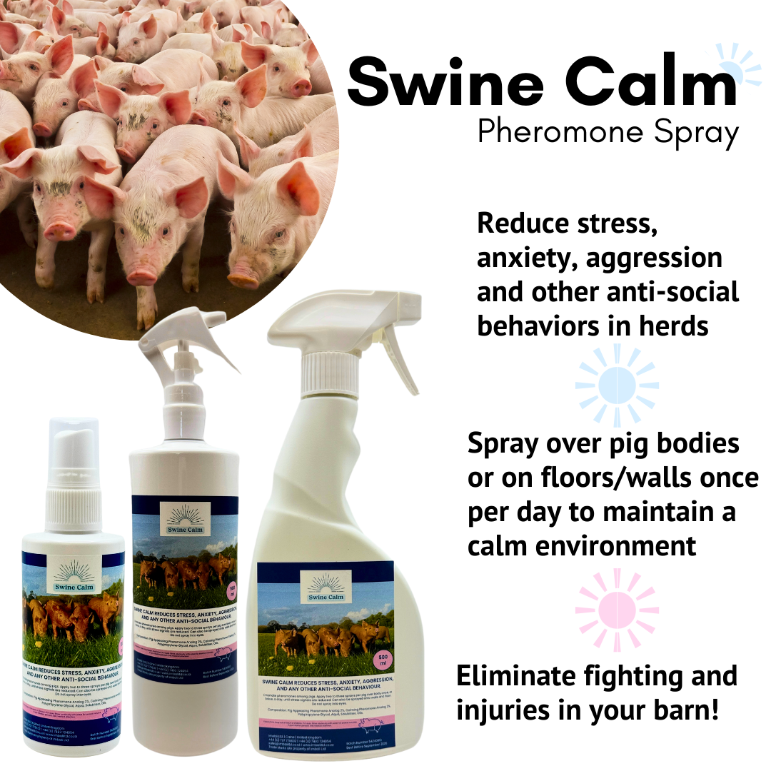 Swine Calm™ Pheromone Spray