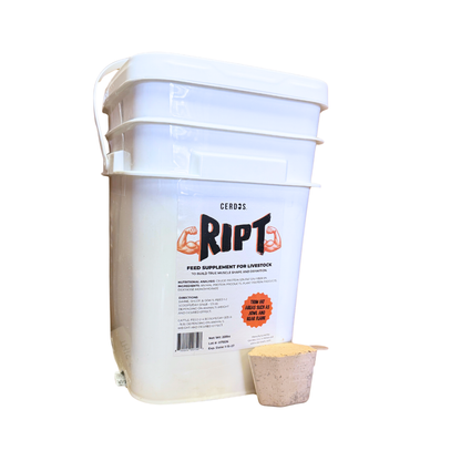 RIPT™ | Feed Supplement for Muscle Shape and Definition