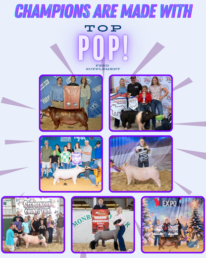 TOP POP!™ Feed Supplement