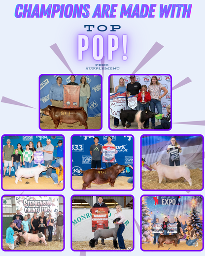 TOP POP!™ Feed Supplement